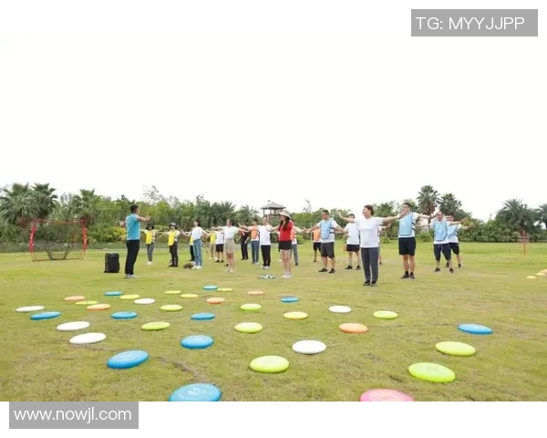 飞盘风暴来袭：深入解析北京飞盘队的极速魅力与团队精神